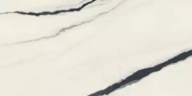 610015000656 Forte dei Marmi Panda White Rett Cer 60x120