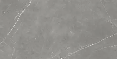 610015000657 Forte dei Marmi Elegant Grey Rett Cer 60x120