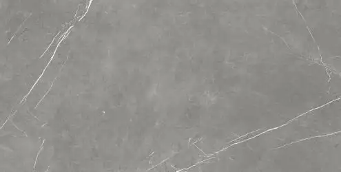 610015000657 Forte dei Marmi Elegant Grey Rett Cer 60x120