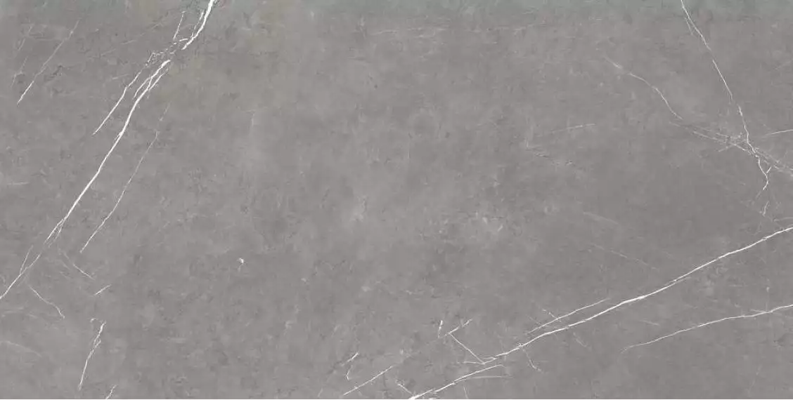 610015000657 Forte dei Marmi Elegant Grey Rett Cer 60x120
