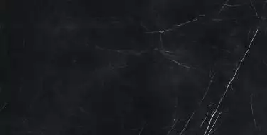 610015000660 Forte dei Marmi Elegant Black Rett Cer 60x120