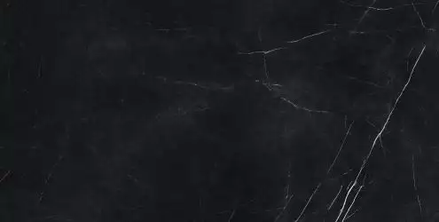 610015000660 Forte dei Marmi Elegant Black Rett Cer 60x120