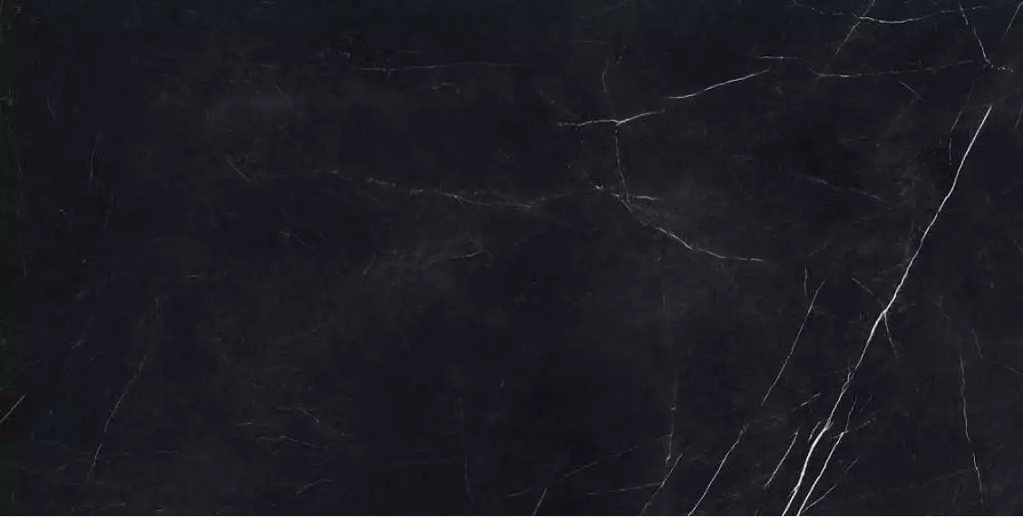 610015000660 Forte dei Marmi Elegant Black Rett Cer 60x120
