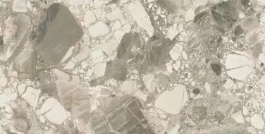 610010002715 Forte dei Marmi Ceppo Apuano Cream Rett 80x160