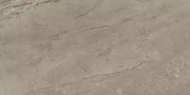 610010002711 Forte dei Marmi Mystic Grey Rett 80x160