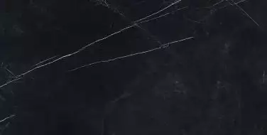 610010002712 Forte dei Marmi Elegant Black Rett 80x160