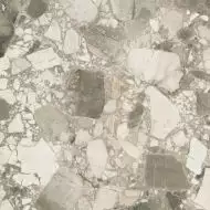 610010002723 Forte dei Marmi Ceppo Apuano Cream Rett 80x80