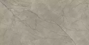 Balsamia Grey Carving 60x120