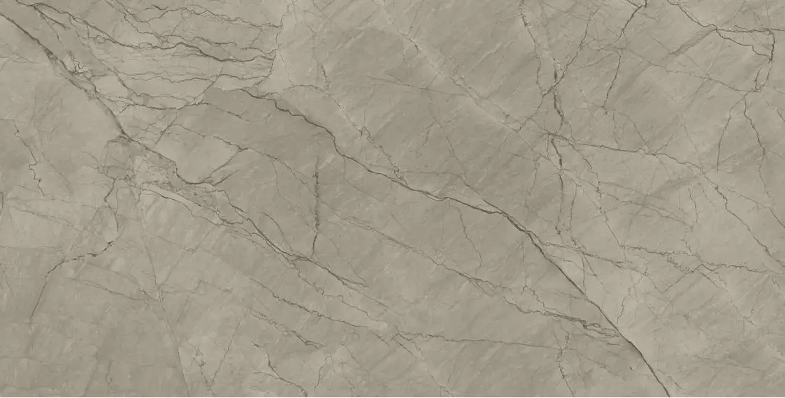 Balsamia Grey Carving 60x120