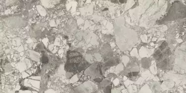 610010002714 Forte dei Marmi Ceppo Apuano Pearl Rett 80x160