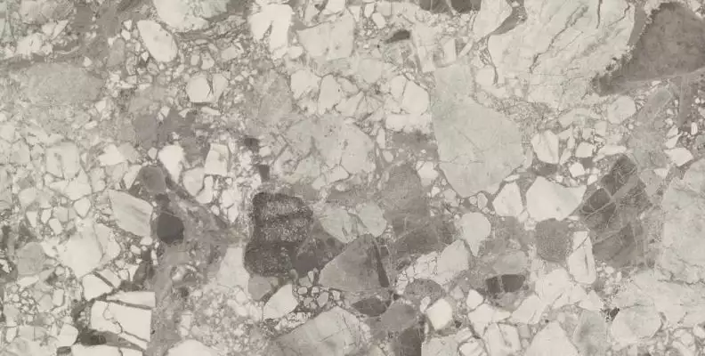 610010002714 Forte dei Marmi Ceppo Apuano Pearl Rett 80x160