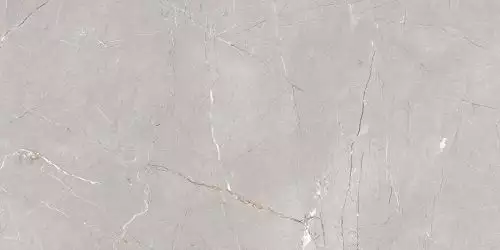 Larice Grey 60x120