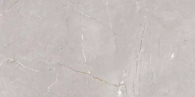 Larice Grey 60x120