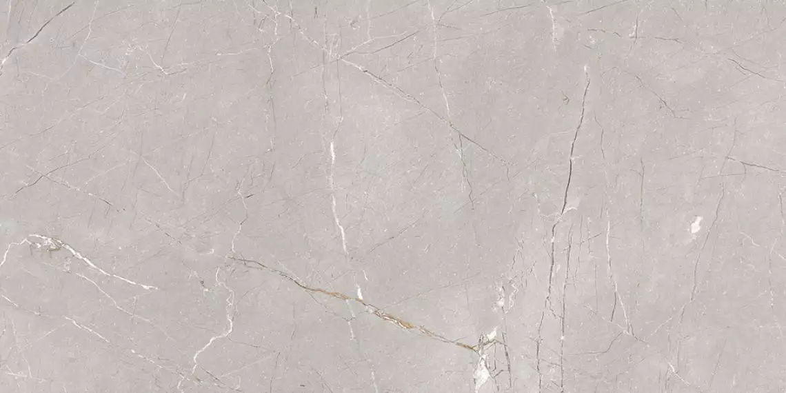 Larice Grey 60x120