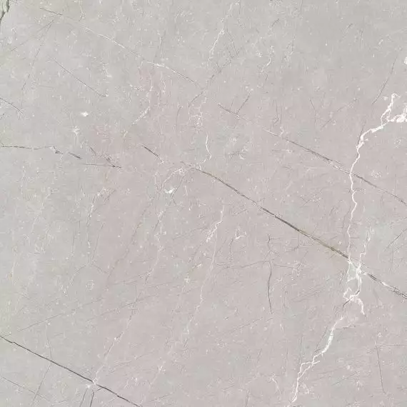 Larice Grey 60x60
