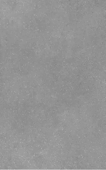 00-00-5-09-01-06-2840 Плитка Misty grey 25х40