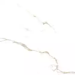 00-00000148 Bianco Carrara полированный 60х60