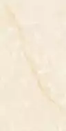 00-00000150 Onyx Beige полированный 60х120