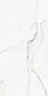 00-00000245 Calcatta Montreal Polish 60х120