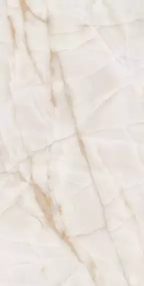 00000249 Onice Honey-Hi Gloss 60х120