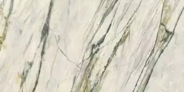 0009027 CALACATTA EMERALD LUX 60x120