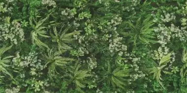 0009561 SECRET GARDEN 120x280