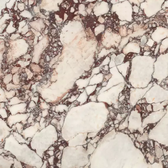 0020837 Calacatta Viola Antique 3D 120x120