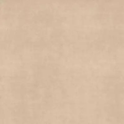 0020872 Velvet Beige Nat 120x120