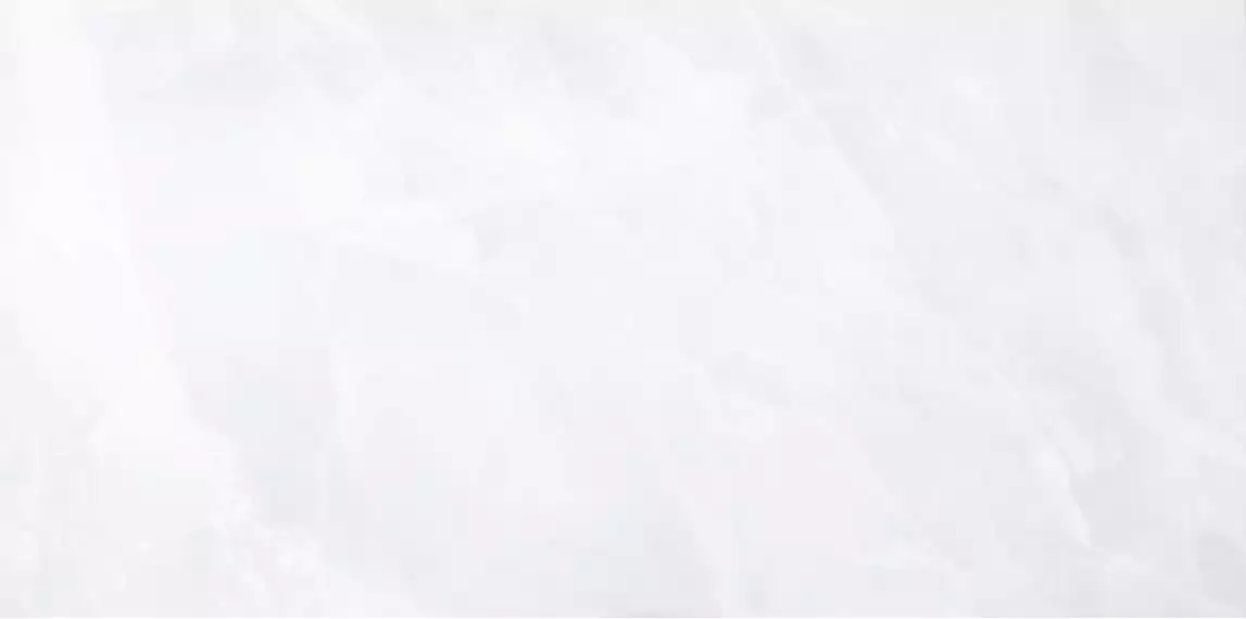 002114 Керамогранит Onix White Pulido 59x119