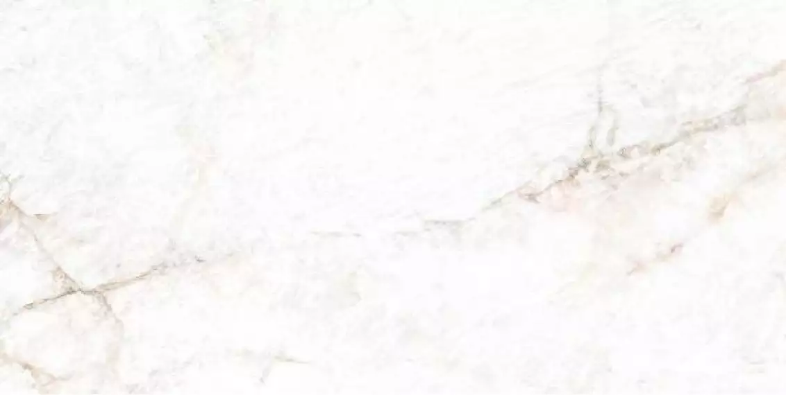 004.869.0001.11484 Crystal White Leviglass Rect. 60x120