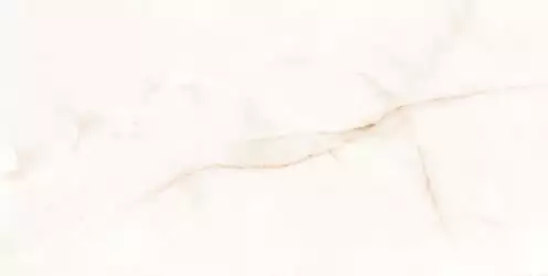 004.869.0108.00283 ONIX WHITE leviglass Rect. 60x120