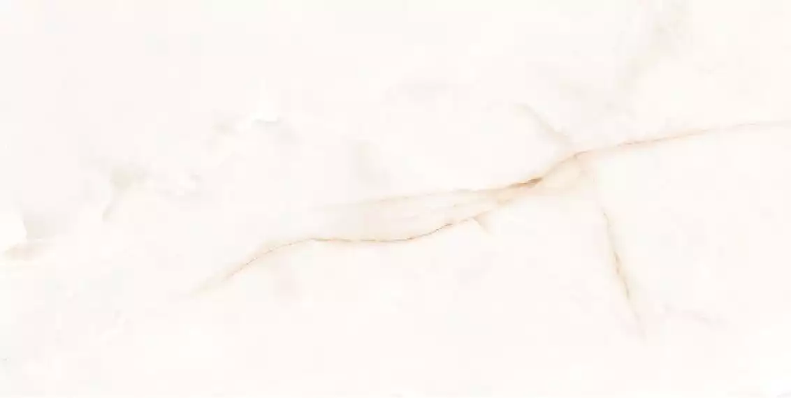 004.869.0108.00283 ONIX WHITE leviglass Rect. 60x120
