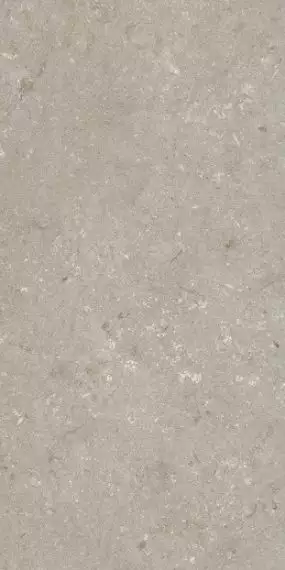 005468 Керамогранит Shellstone Taupe 60x120