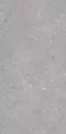 005485 Керамогранит Shellstone Grigio 60x120