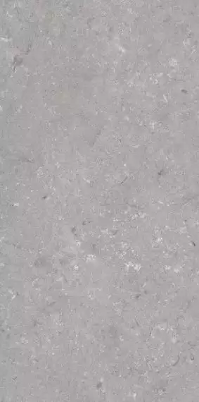 005485 Керамогранит Shellstone Grigio 60x120