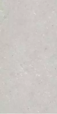 005487 Керамогранит Shellstone Bianco 60x120