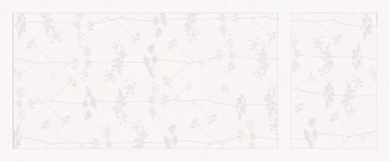 00NEO125DTSLR Плитка Neo Zoe Bianco 50x120