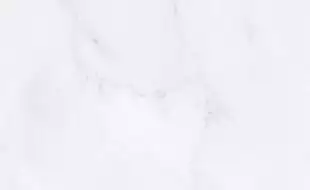 010100000874 Милана светло-серый верх 01 25х40