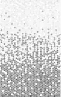 010100001088 Лейла серый низ 02 25х40