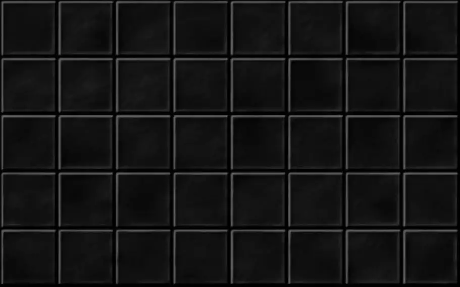 010100001182 Чарли черный низ 02 25х40