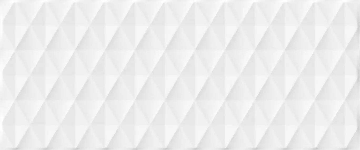 010100001311 Плитка Blum white 02 250х600 