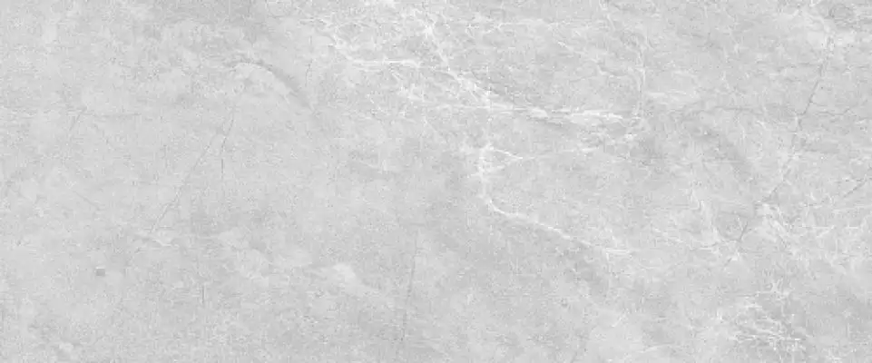 010100001542 Плитка Cameo grey 01 25х60