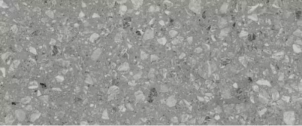 010100001544 Плитка Terrazzo grey 01 25х60