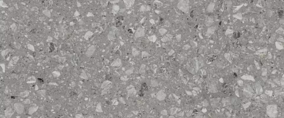 010100001544 Плитка Terrazzo grey 01 25х60