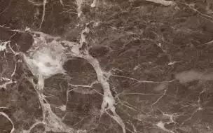 010100001557 Плитка Капелла коричневый низ 04 25x40