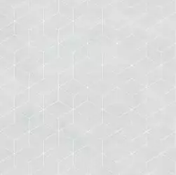 010400000858 Веста светло-серый КГ 01 45х45 