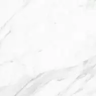 010400000956 Леона светлый КГ 01 40х40