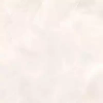 010400000964 Флора бежевый КГ 01 40х40