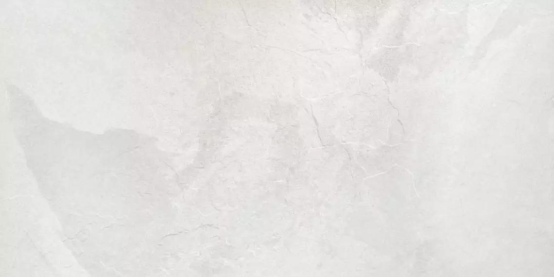 017.250.0012.00375 Керамогранит Rhin Blanco Matt Rect 60x120