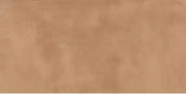 017.869.0053.11183 Eleganza Siena 60x120